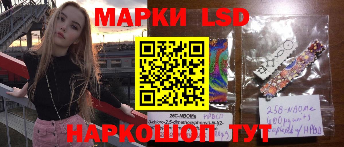 Грозный  kraken ссылки  Вход с VPN  LSD-25 экстази ecstasy 