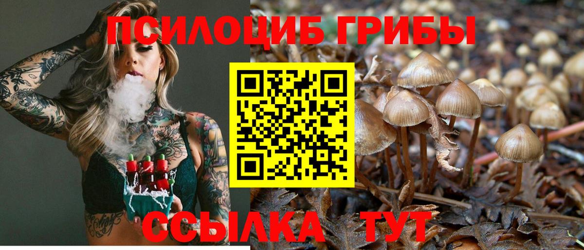 Грозный  Галлюциногенные грибы MAGIC MUSHROOMS  Вход с VPN 